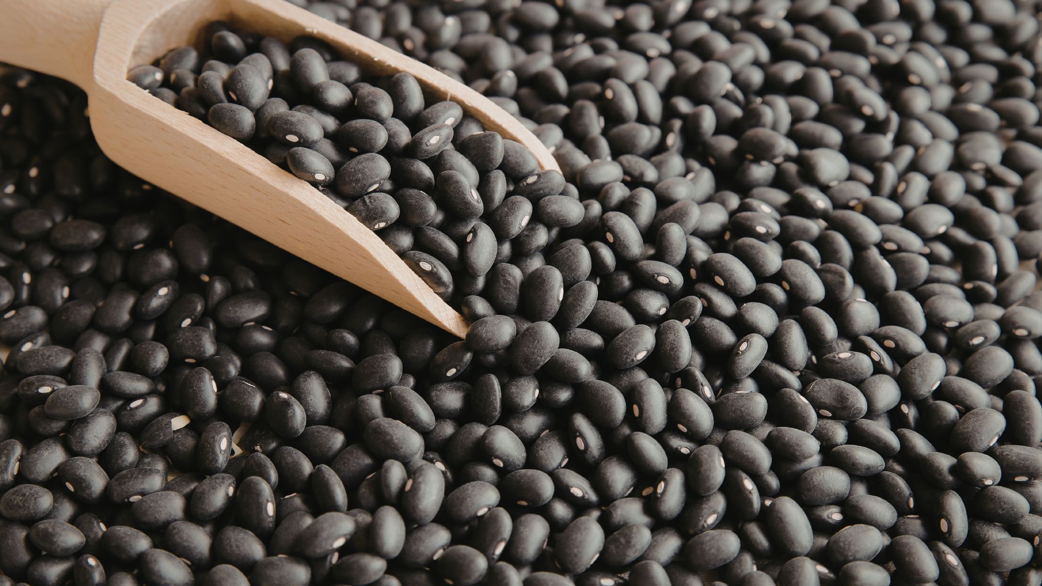 Đậu đen giàu chất xơ hòa tan và polyphenol, giúp làm chậm hấp thu carbohydrate và ổn định đường huyết