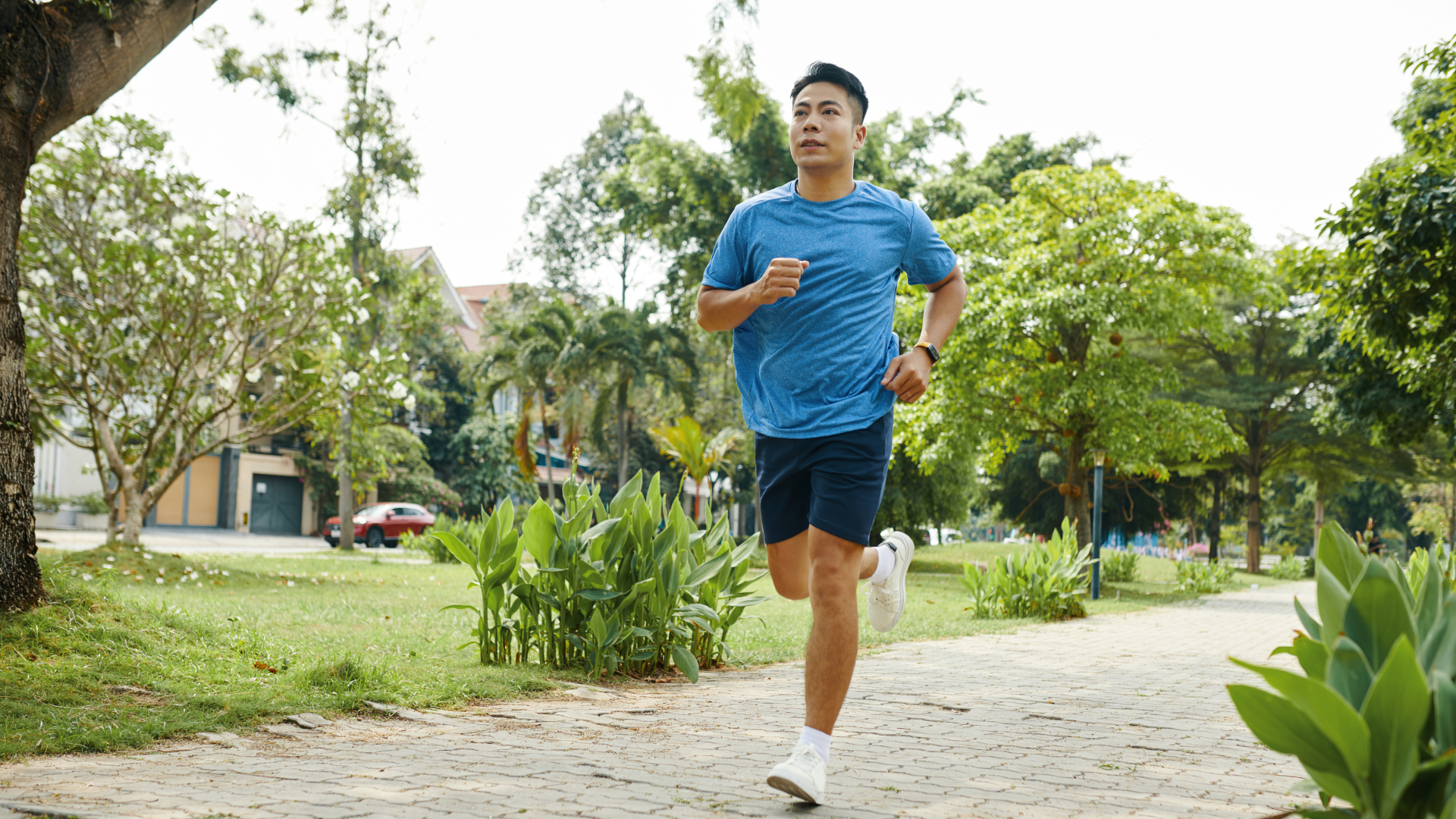 Tập luyện đều đặn giúp tiêu hao năng lượng dư thừa