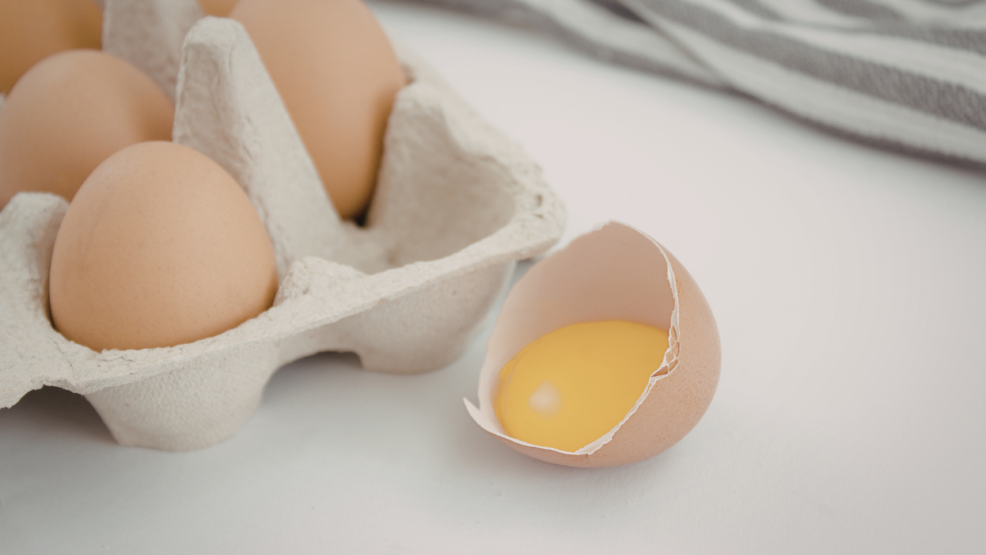 Ăn trứng gà sống có nguy cơ nhiễm vi khuẩn Samonella