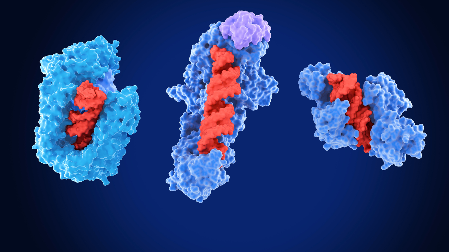 Enzyme là gì - đây là câu hỏi được đặt ra ở nhiều người
