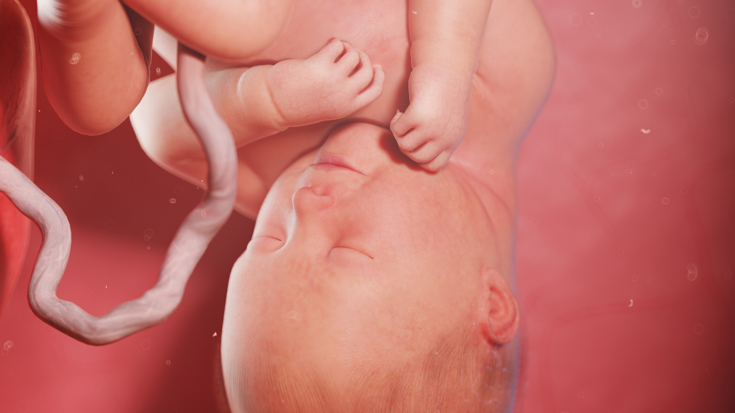 Thai 35 tuần nặng 3kg có to không là câu hỏi được nhiều mẹ bầu đặt ra