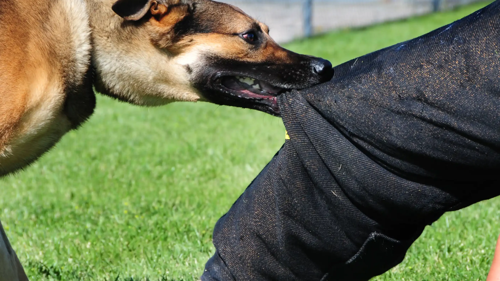 cho-tiem-phong-dai-can-nguoi-co-sao-khong-nhung-dieu-quan-trong-can-biet-de-bao-ve-suc-khoe 1.png