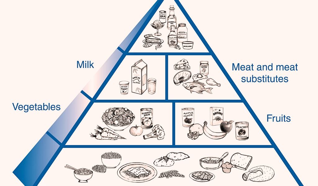 Hình ảnh minh họa tháp dinh dưỡng dành cho người tiểu đường