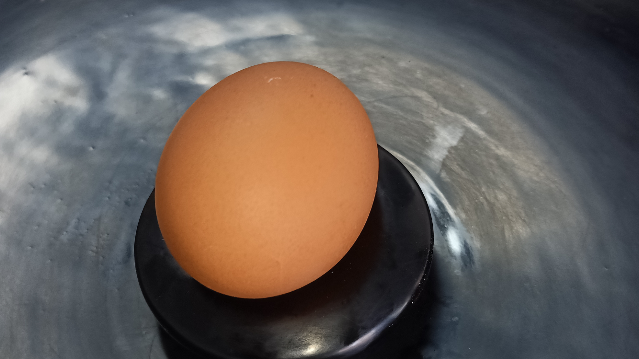 1 quả trứng gà bao nhiêu protein?