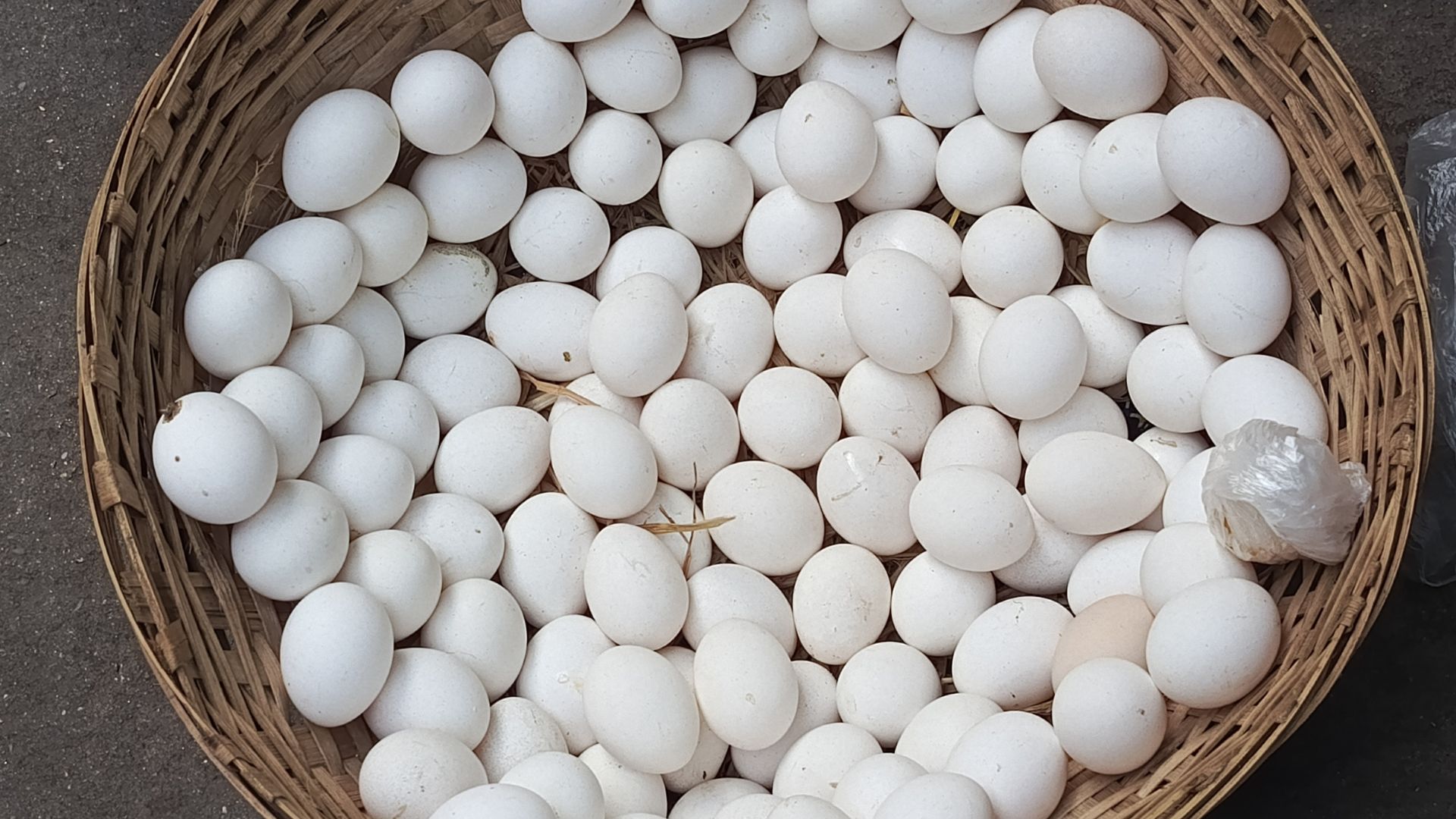 1 quả trứng vịt bao nhiêu protein là nỗi băn khoăn của nhiều độc giả