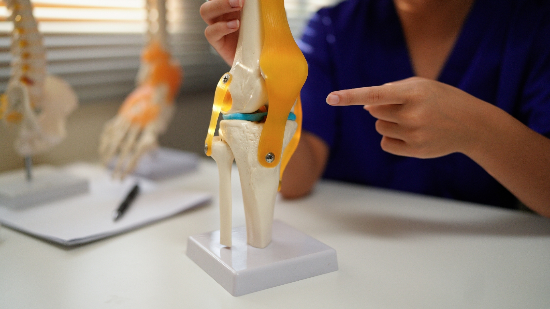 Yếu tố nền tảng quyết định sự tăng chiều cao là sự phát triển chiều dài của xương dài thông qua sụn tăng trưởng