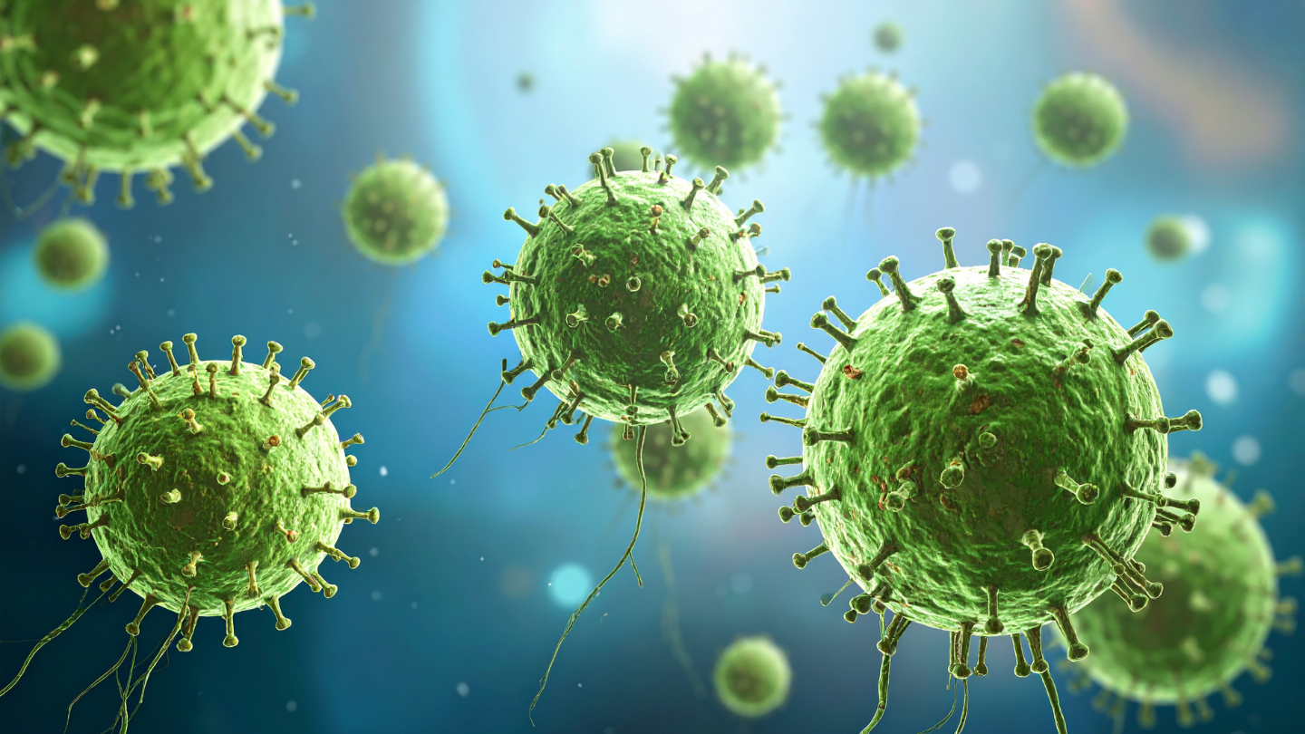 Nhiễm virus là một trong những nguyên nhân phổ biến làm tăng số lượng bạch cầu lympho trong máu