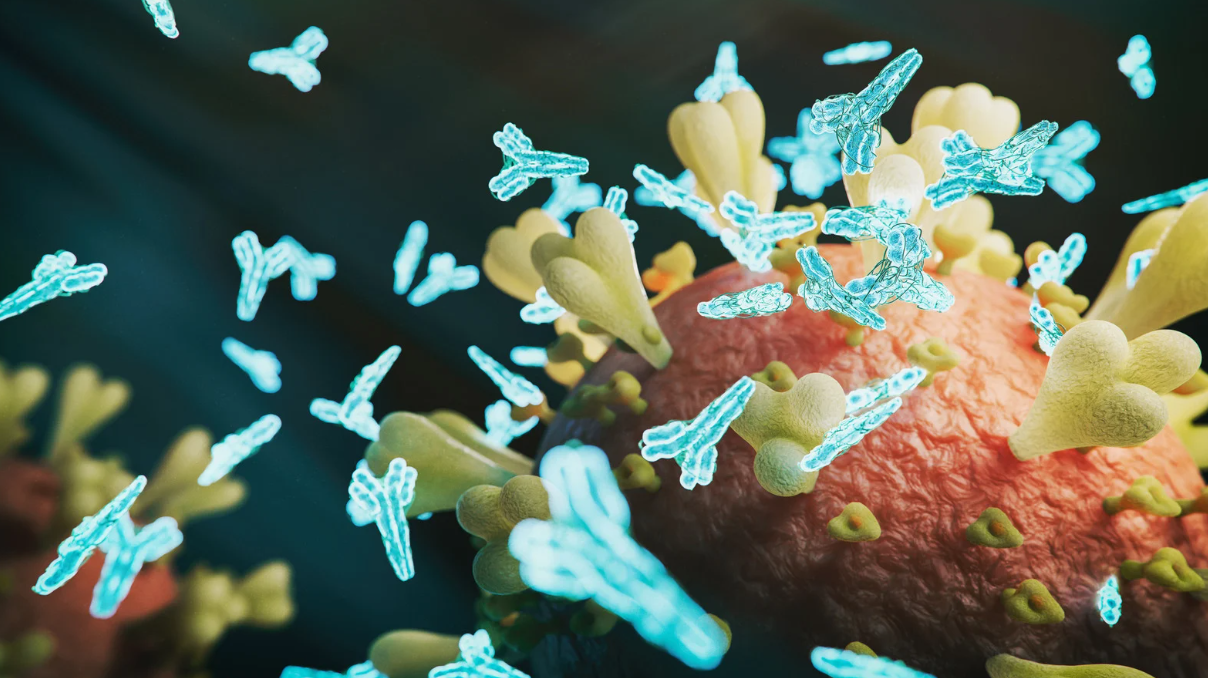 nguoi-vua-moi-tiem-vac-xin-co-duoc-uong-thuoc-khong 2.png