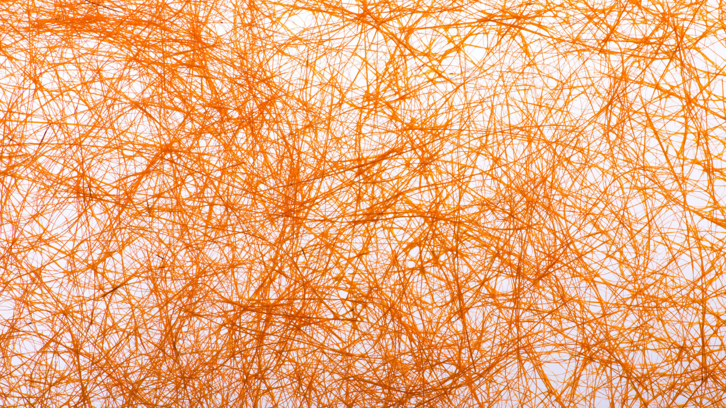 Các sợi collagen tái tổ chức và liên kết chặt chẽ hơn, góp phần tăng độ bền cho mô