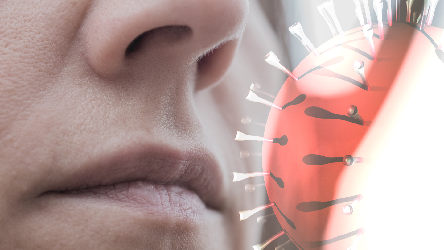 Virus Hanta là gì? Triệu chứng, đường lây truyền và cách phòng ngừa hiệu quả 2