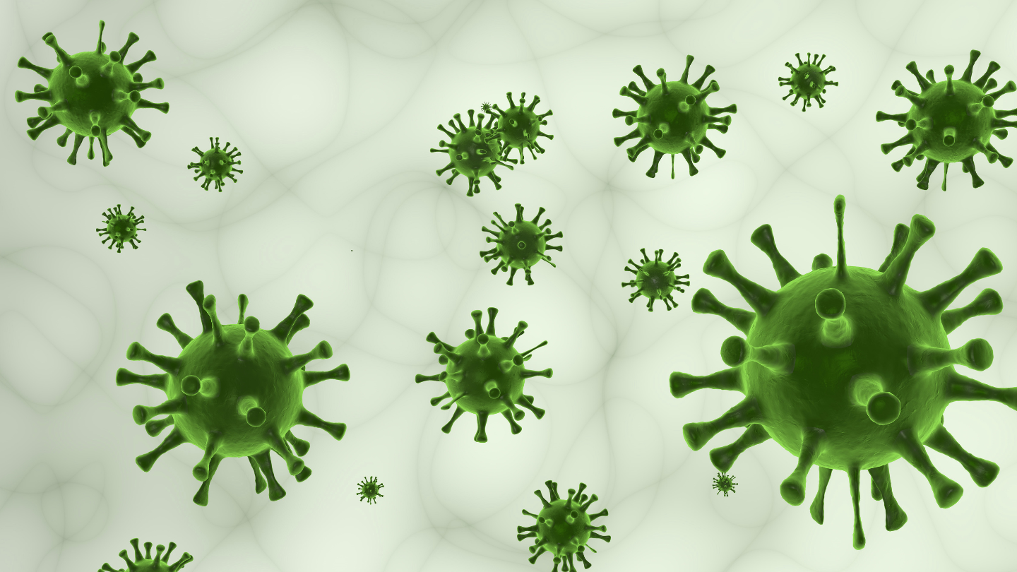 Mẹ bầu nhiễm virus trong thai kỳ có thể làm tổn thương thính giác thai nhi, dẫn đến nguy cơ điếc bẩm sinh
