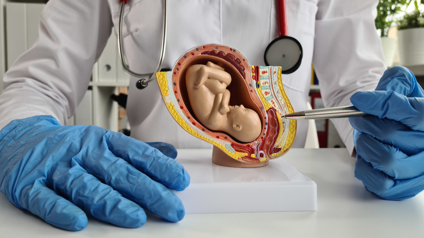 Hình ảnh siêu âm thai 37 tuần cho thấy em bé cuộn tròn trong bụng mẹ, đầu quay xuống