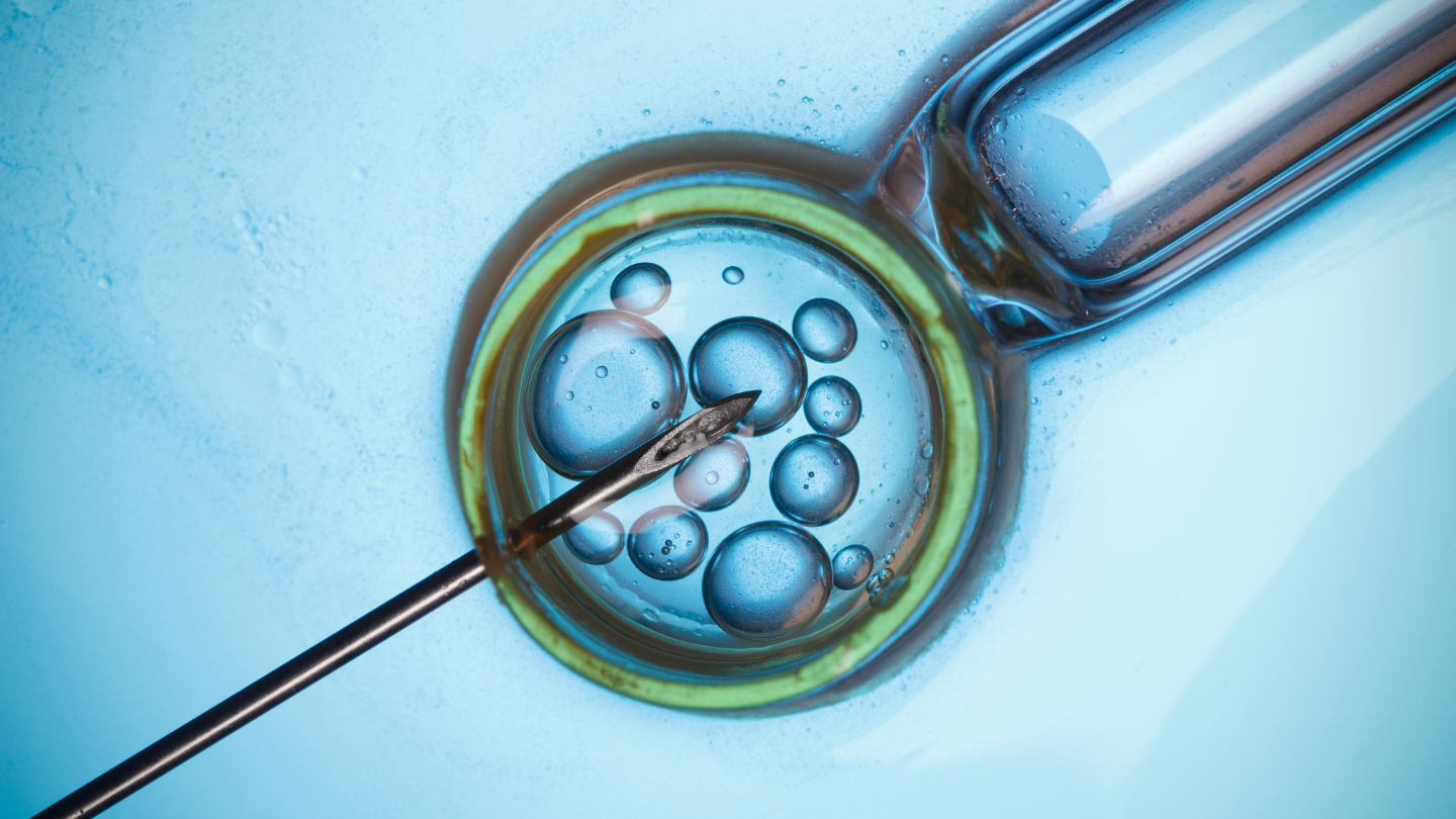 Những trường hợp khó thụ thai tự nhiên, thụ tinh trong ống nghiệm (IVF) là lựa chọn giúp tăng cơ hội mang thai an toàn và thành công