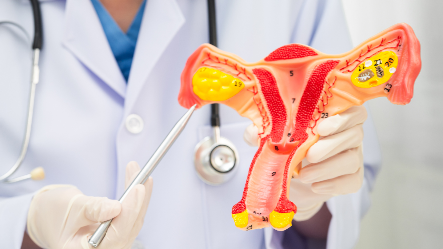 sieu-am-co-phat-hien-suy-buong-trung-khong-nhung-xet-nghiem-danh-gia 3.png