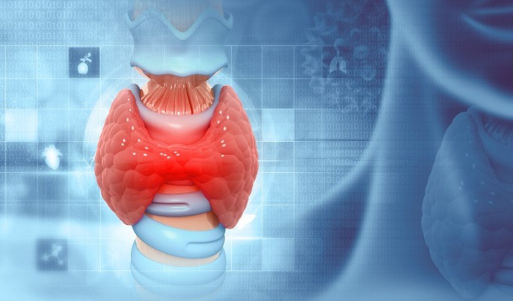 Tuyến giáp suy giảm chức năng có thể làm rối loạn chuyển hóa bilirubin và gây vàng da