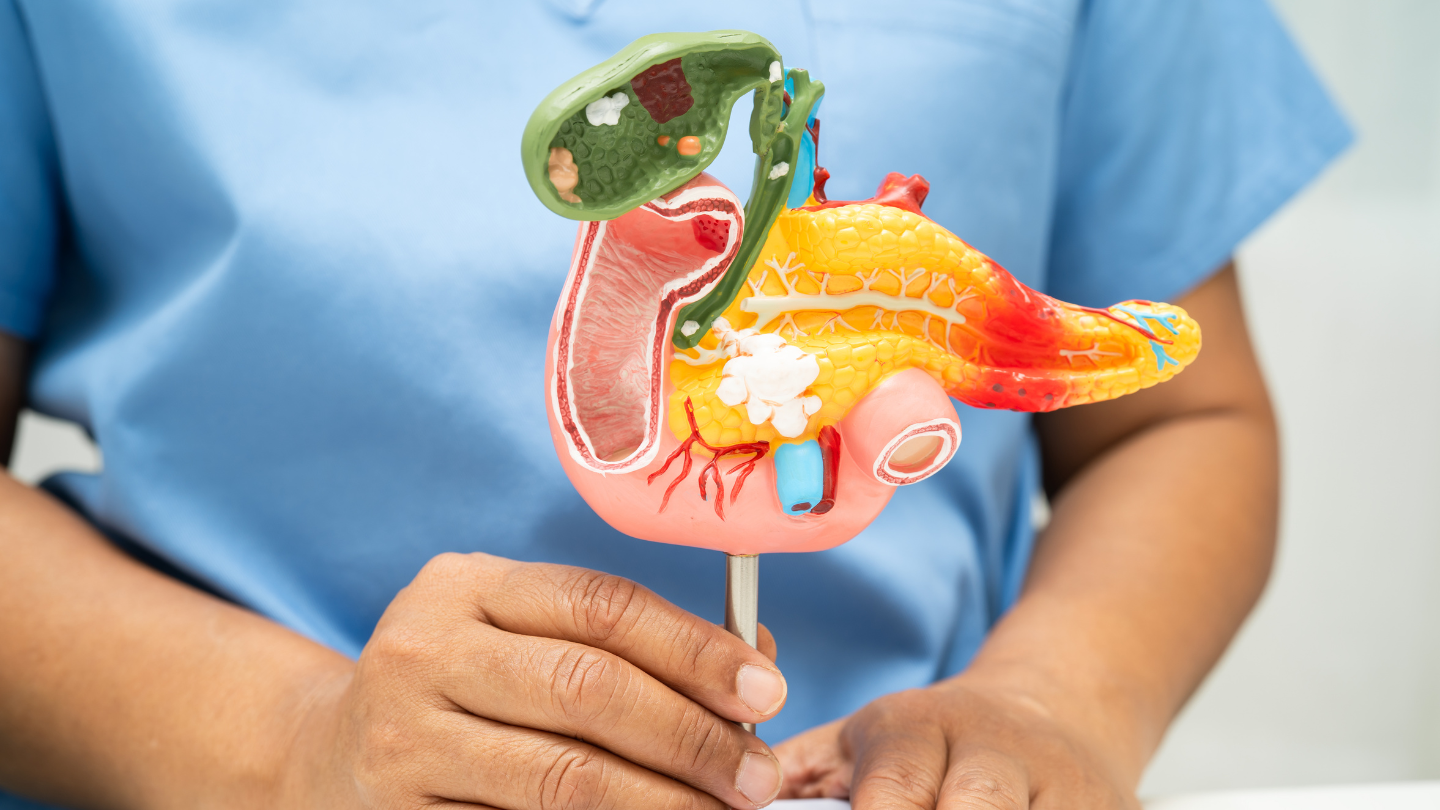 Thiếu ngủ còn làm rối loạn nhịp sinh học, ảnh hưởng đến sự phối hợp giữa tiết insulin và chuyển hóa glucose sau ăn