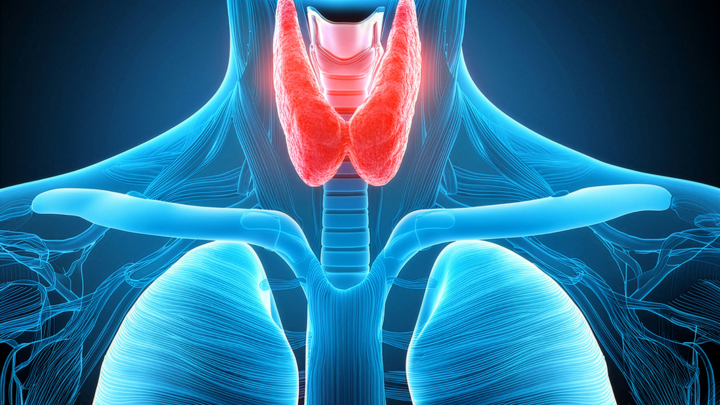 Chế độ ăn uống không chỉ hỗ trợ mà còn đóng vai trò quan trọng trong kiểm soát và điều trị bệnh tuyến giáp