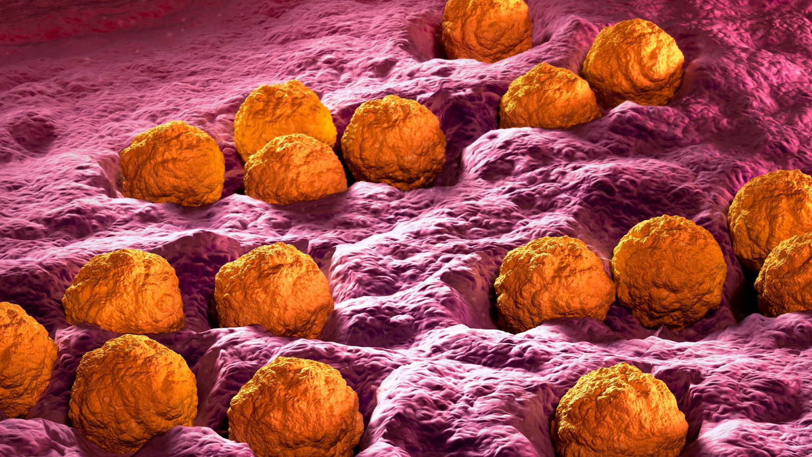 benh-rubella-o-phu-nu-mang-thai 4.png