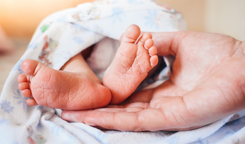 Sàng lọc sơ sinh thường được thực hiện bằng cách lấy máu gót chân của trẻ để đo nồng độ TSH hoặc T4