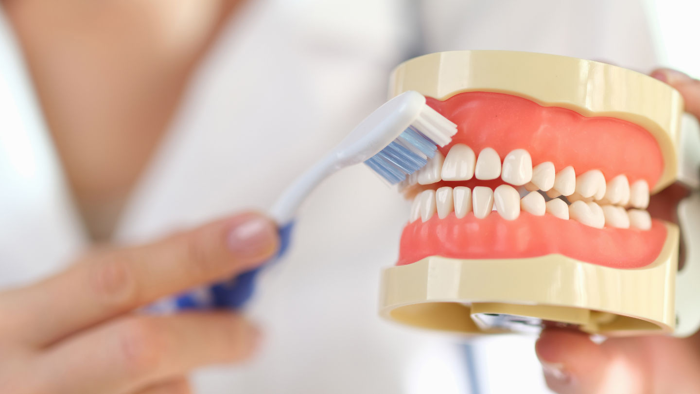 Nên chọn bàn chải lông mềm và chải răng nhẹ nhàng để không gây tổn thương nướu