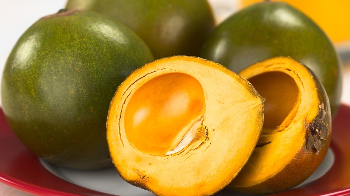 Tác hại của quả lê ki ma là gây khó tiêu nếu ăn quá nhiều