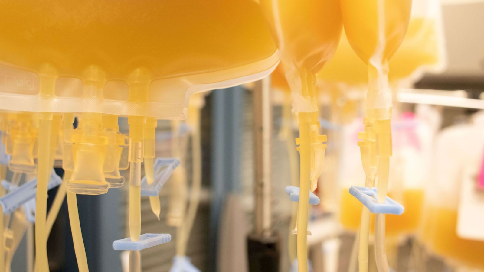 xuat-huyet-giam-tieu-cau 6.png