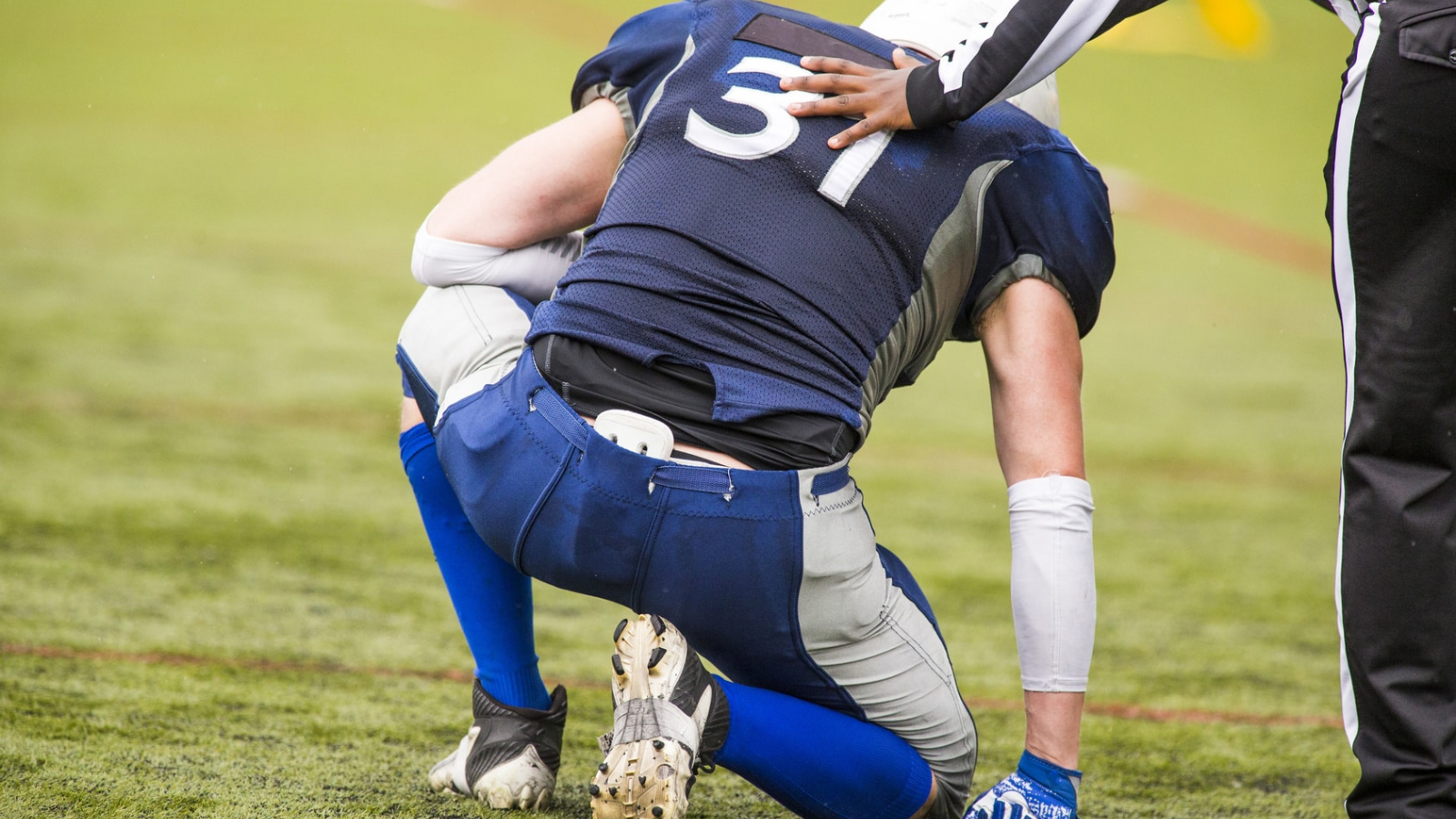 tran-dich-mang-tinh-hoan 6.png