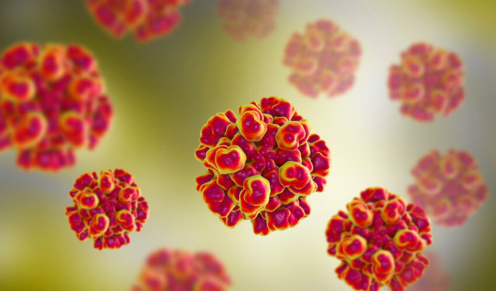 Viêm gan E có lây không? Có, nhưng không lây qua tiếp xúc thông thường nếu đảm bảo vệ sinh