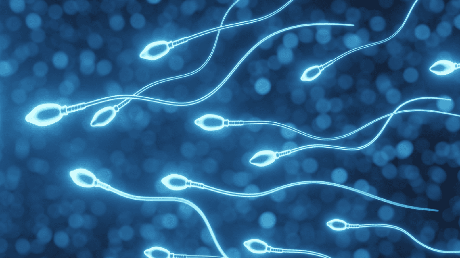 gian-tinh-mach-tinh 6.png