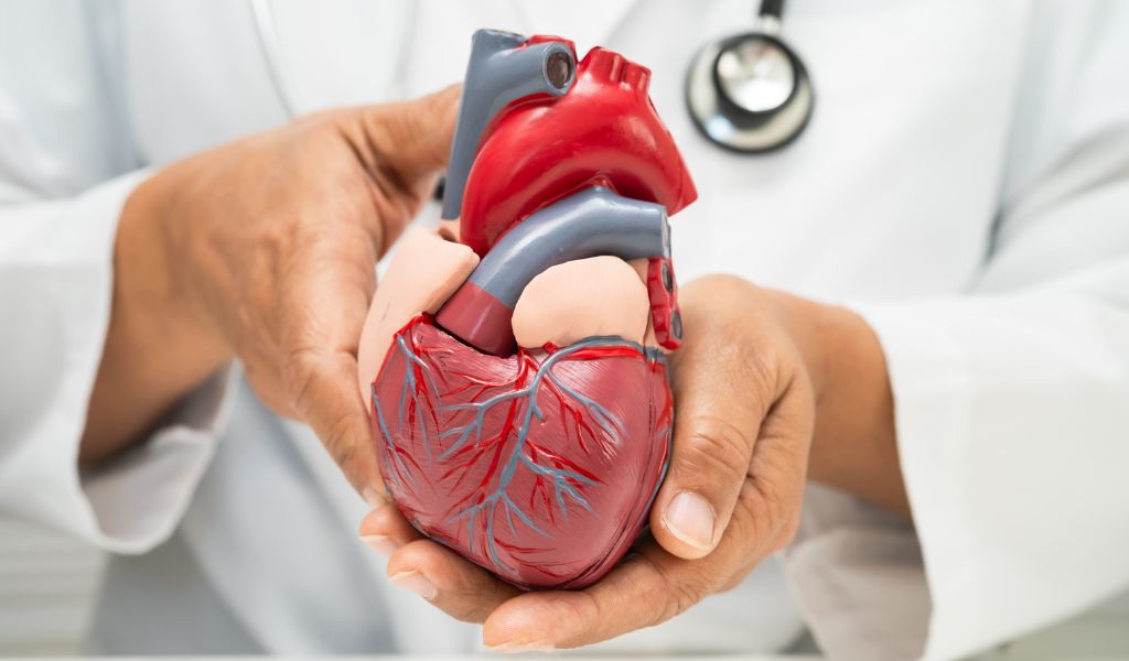 Các bệnh lý tim mạch có thể gây đau ngực và dễ bị nhầm với đau phổi do vị trí nằm gần phổi