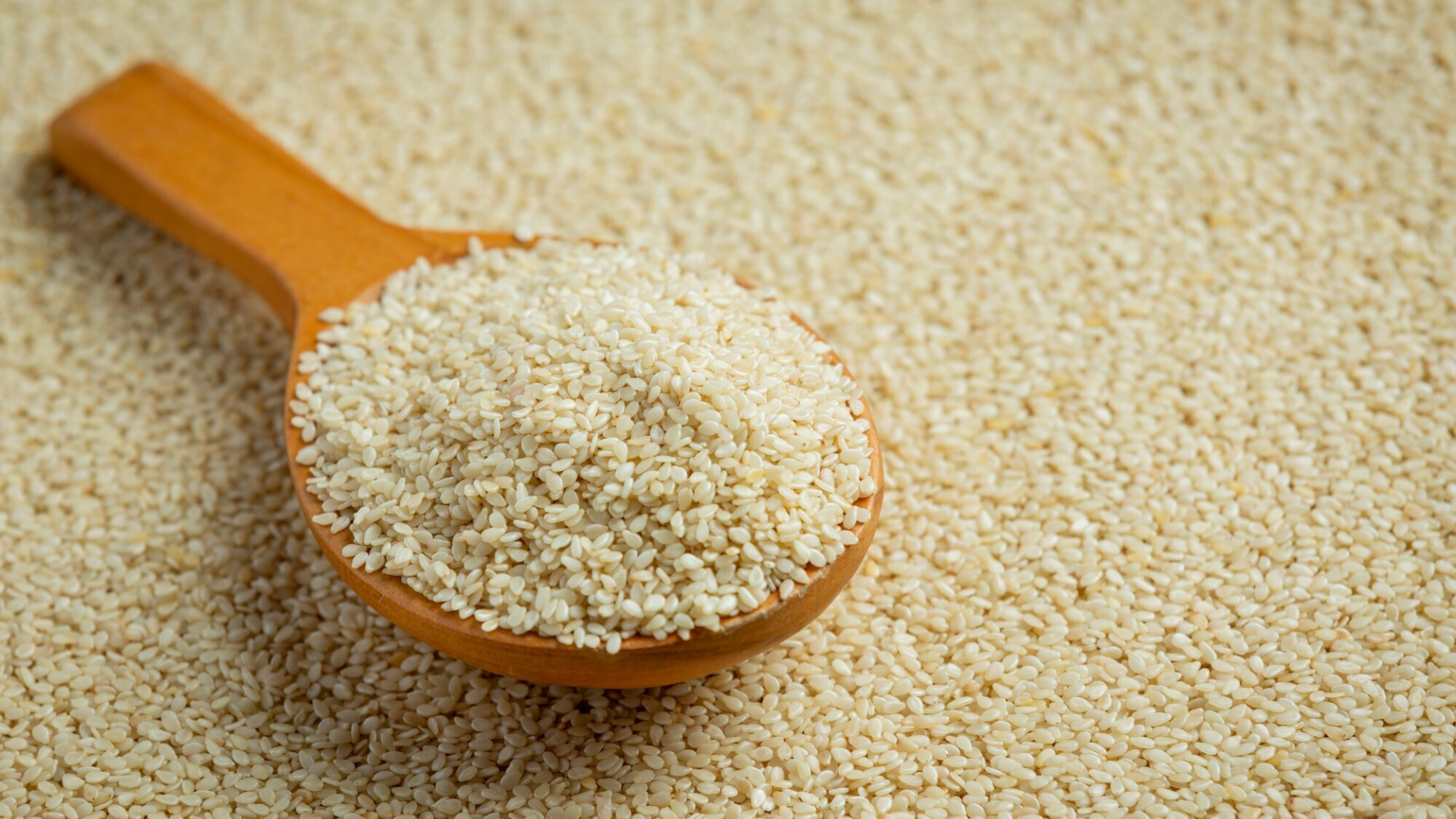 8-loai-thuc-pham-giau-protein-thuc-vat-ma-ban-nen-biet-4.png