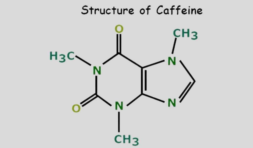 Hình ảnh minh họa cấu trúc phân tử của caffeine
