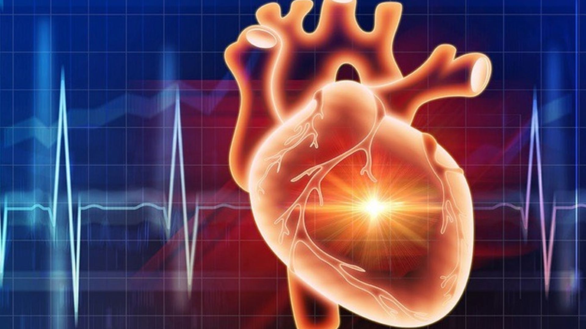 Sử dụng chất béo không bão hòa giúp giảm thiểu nguy cơ mắc bệnh tim mạch