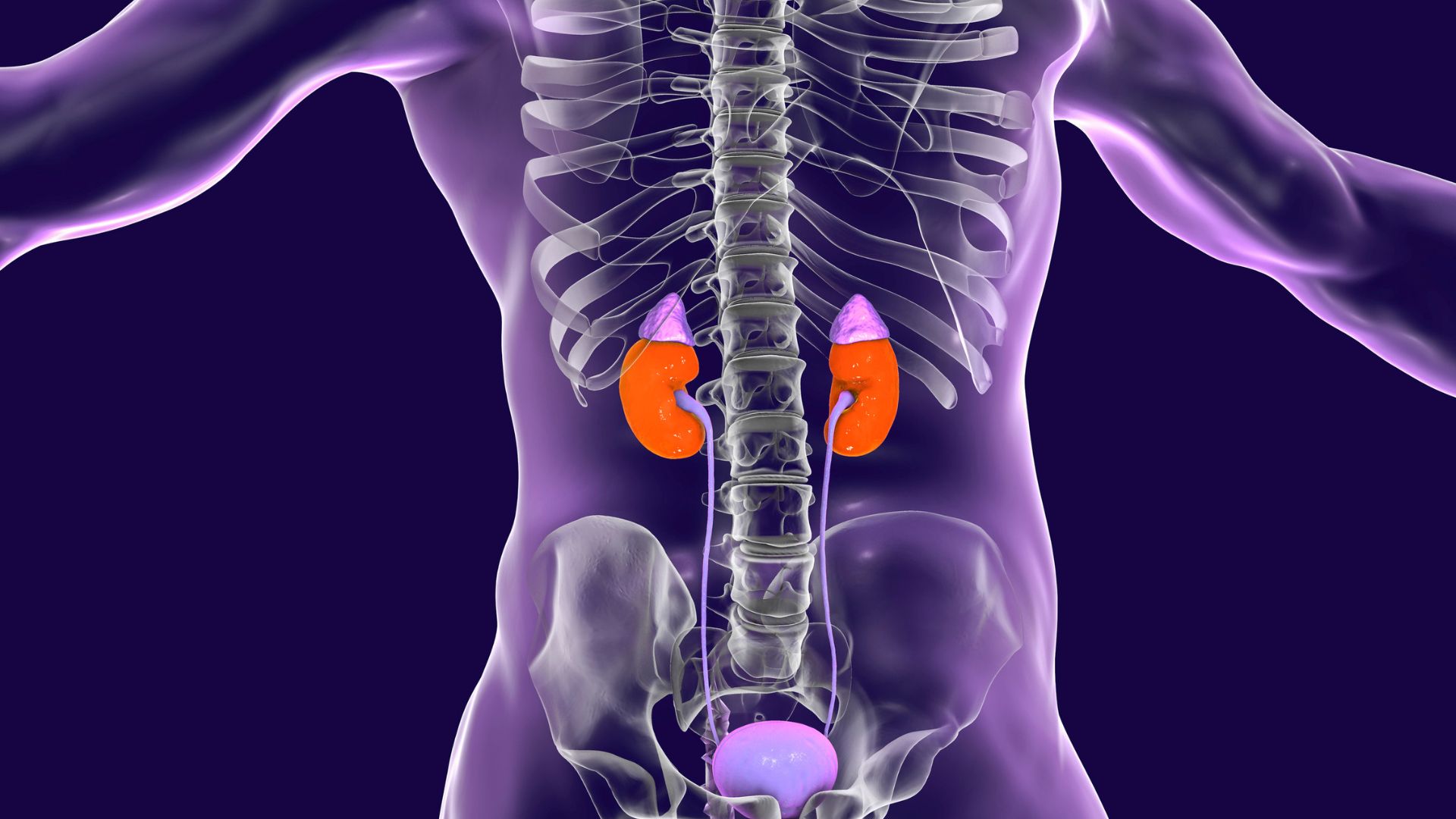 Metanephrine là gì