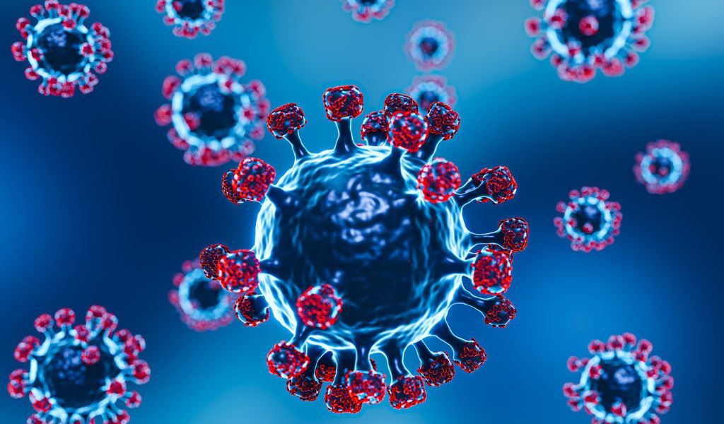 Metapneumovirus là virus gây nhiễm trùng đường hô hấp