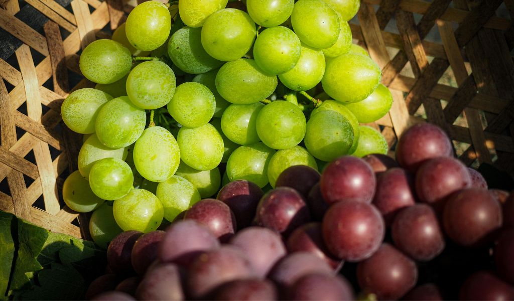 Nho tươi nên rửa sạch và ăn nguyên vỏ để tận dụng tối đa dưỡng chất