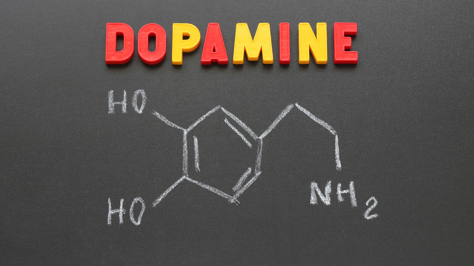 Phenylalanine tham gia vào quá trình tạo ra dopamine