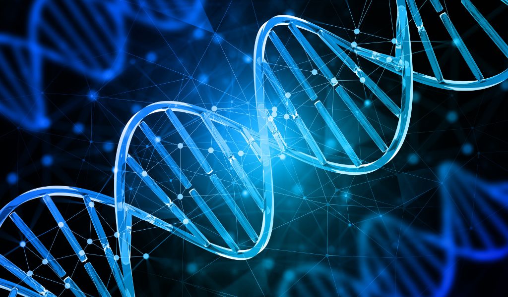 Tăng động ở trẻ có thể bắt nguồn từ di truyền