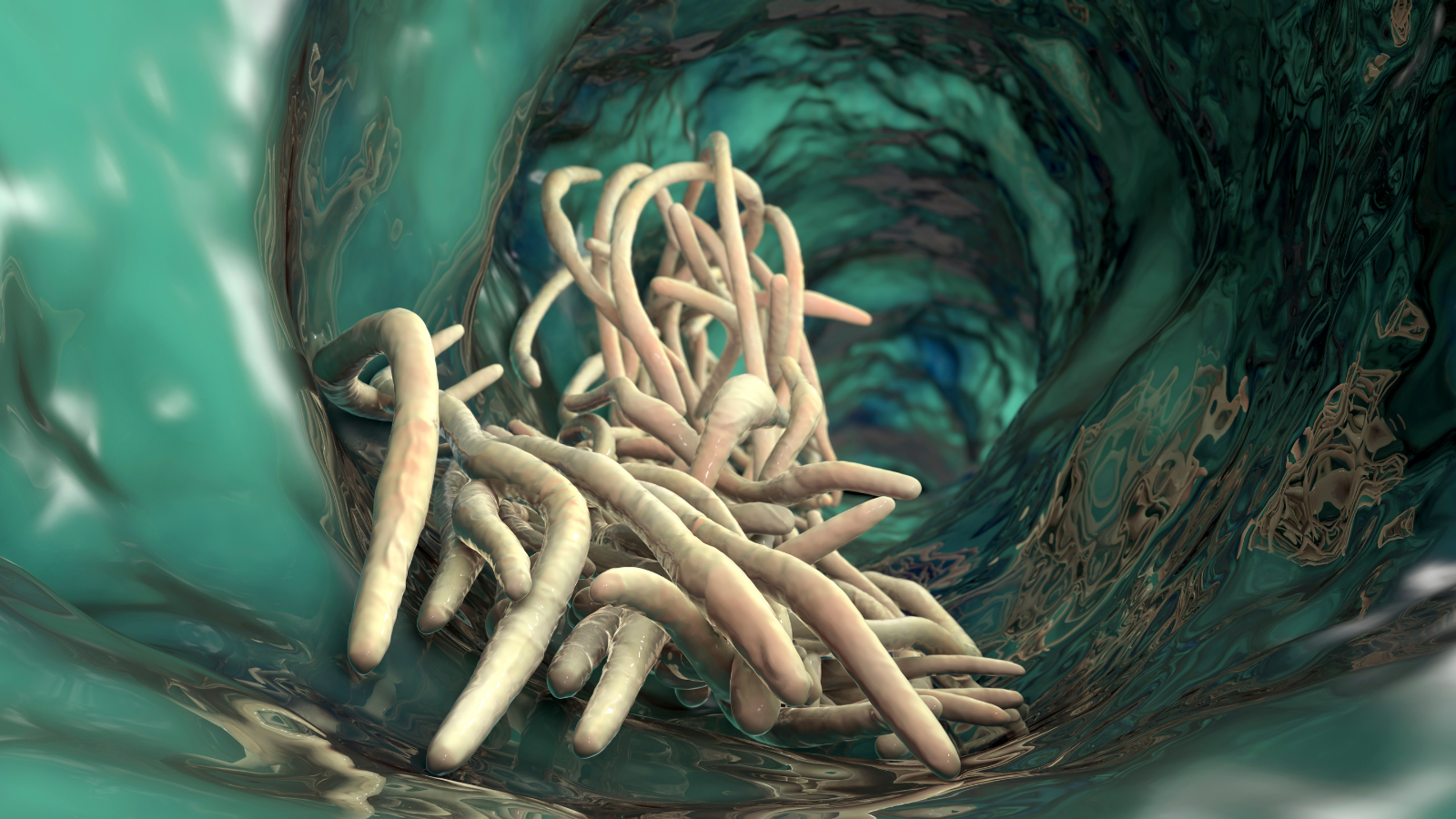 Tẩy giun cho trẻ 1 tuổi: Khi nào và bao lâu nên thực hiện? 1