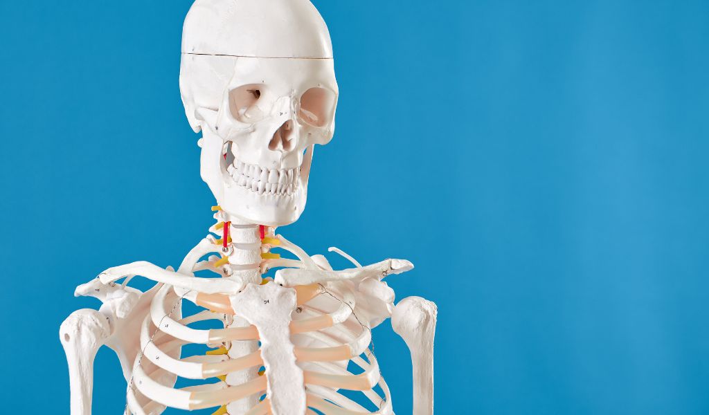 Ung thư xương là dạng phổ biến nhất trong nhóm ung thư mô liên kết