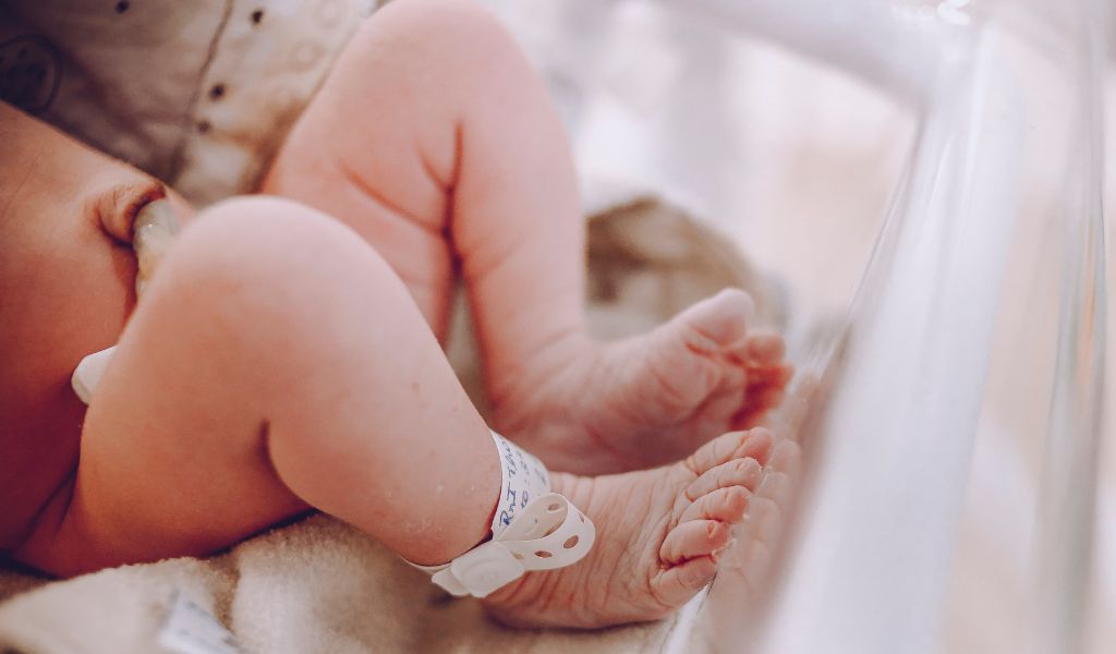 Tế bào cần được lưu trữ ngay sau sinh để đảm bảo chất lượng và hiệu quả