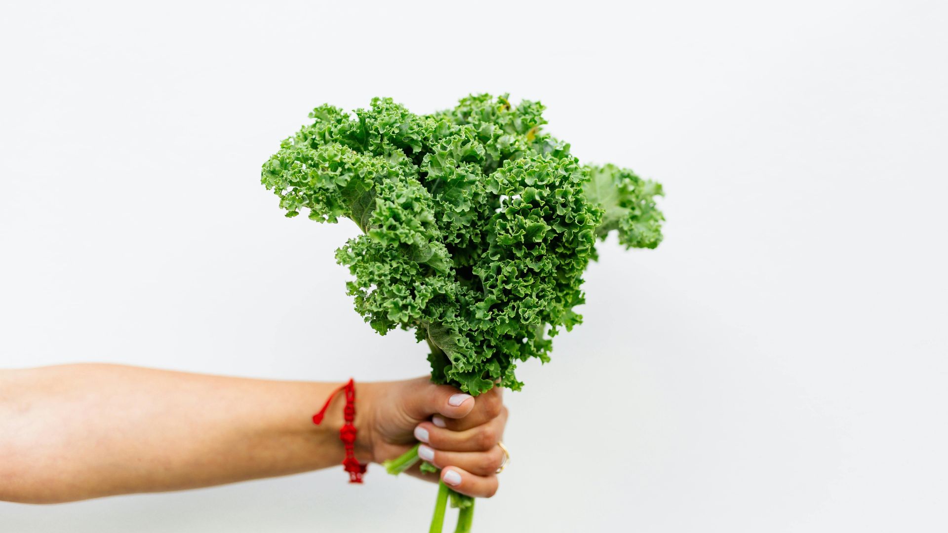 Cải xoăn chứa nhiều chất xơ hòa tan mang lại hiệu quả đốt cháy chất béo tối ưu