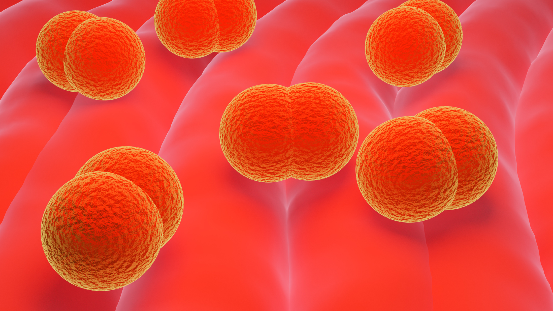 Vắc xin Nimenrix là giải pháp phòng ngừa hiệu quả bệnh viêm màng não do vi khuẩn Neisseria meningitidis