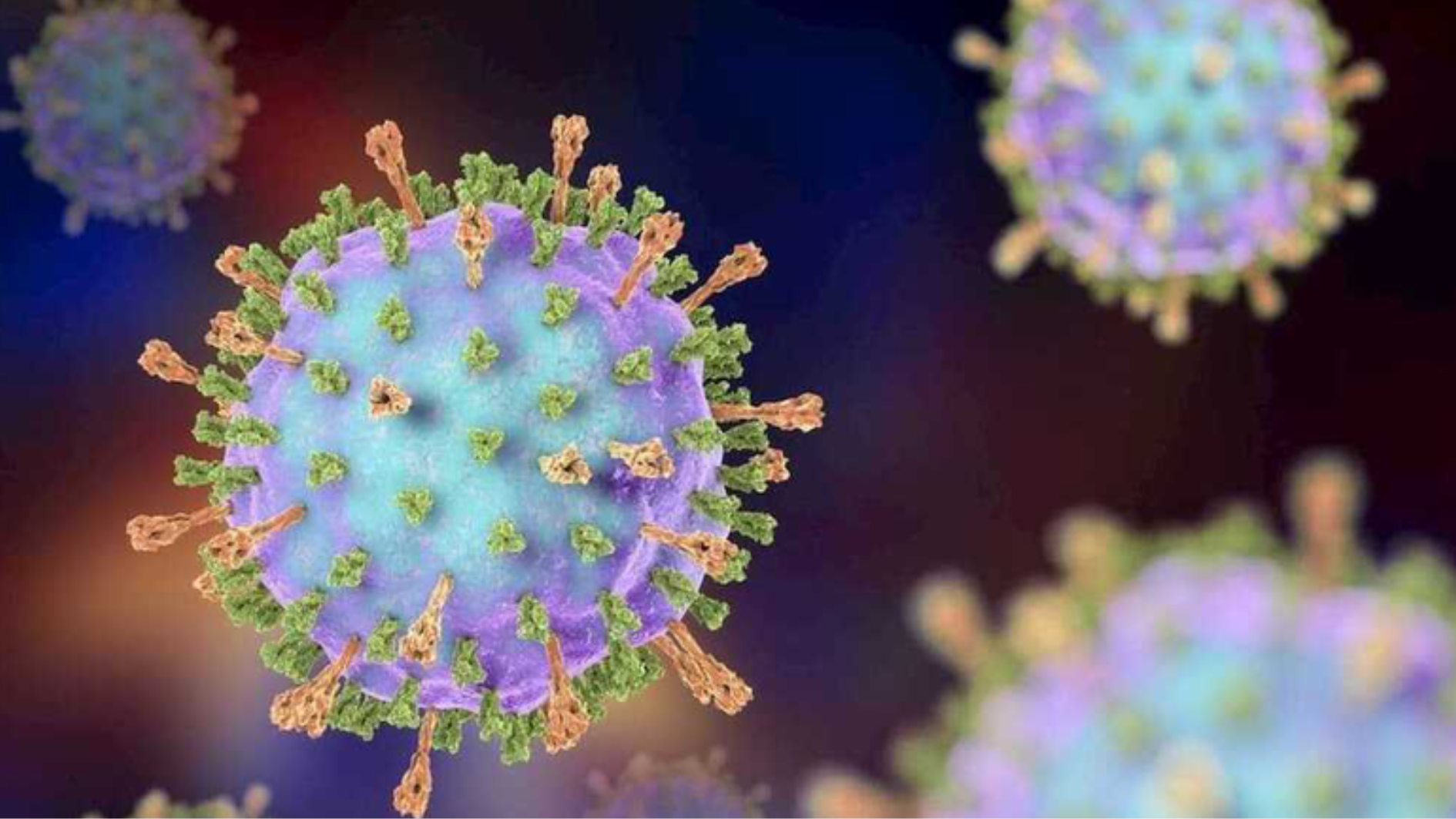 ai-tim-ra-vac-xin-quai-bi-tiem-phong-quai-bi-o-dau-tot (1).png