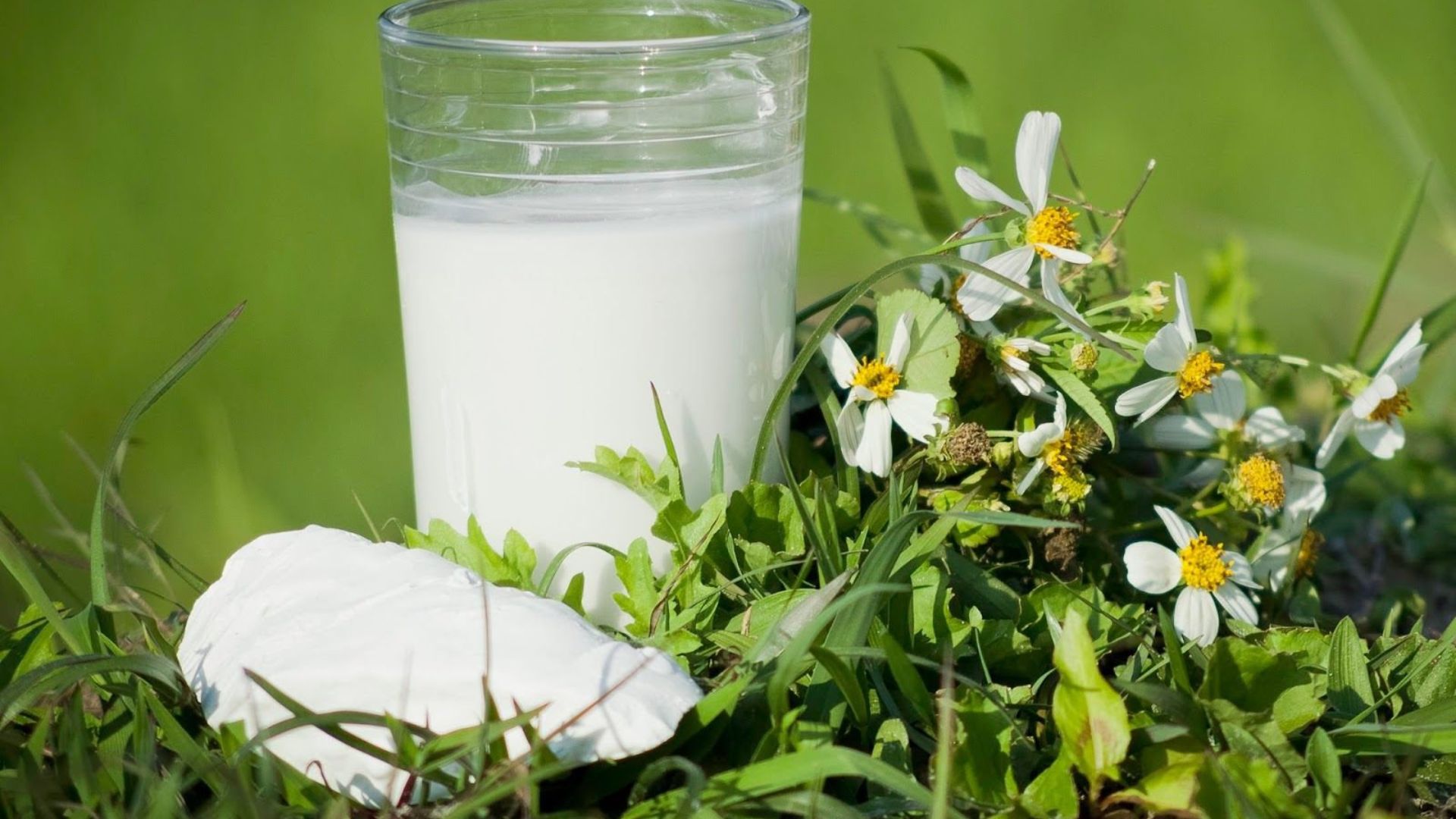 Uống bột sắn dây có thể giúp hỗ trợ giải nhiệt và bù nước cho cơ thể