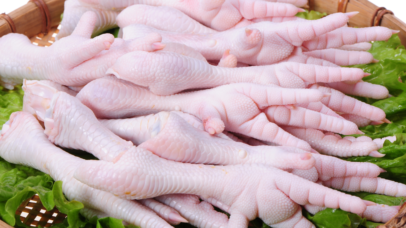 Chân gà là thực phẩm giàu protein, đặc biệt là collagen