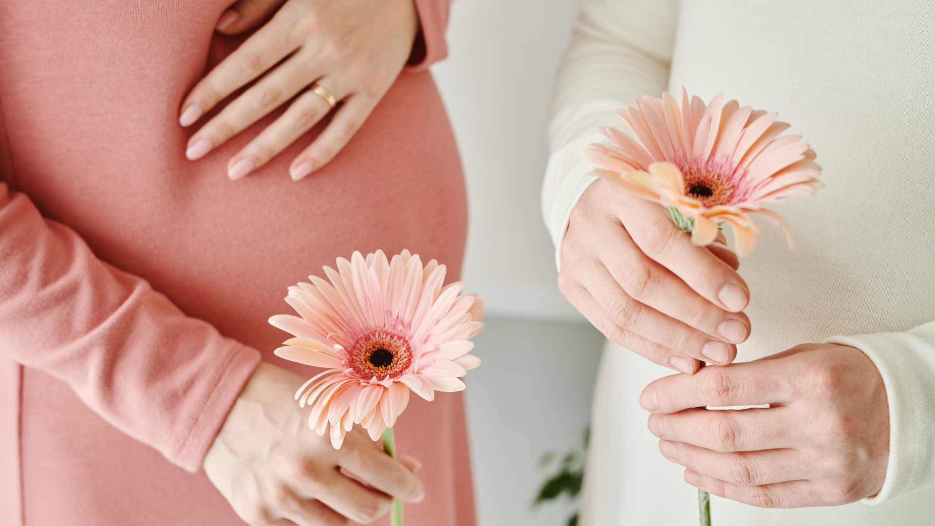 Ăn gì để tăng progesterone khi mang thai? Gợi ý dinh dưỡng hỗ trợ ổn định nội tiết cho mẹ bầu