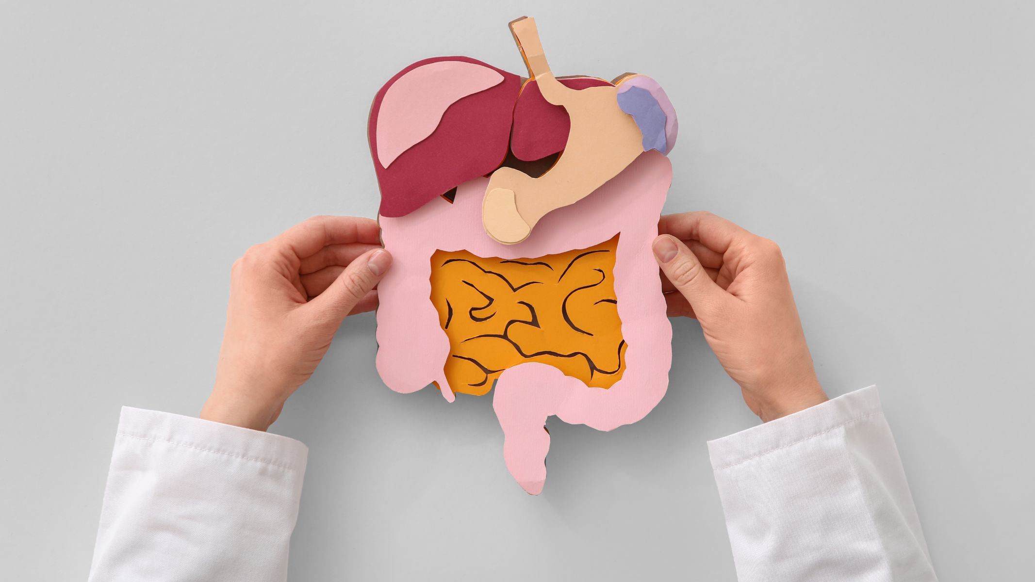 Hạt ổi đóng vai trò như một nguồn chất xơ không hòa tan, giúp kích thích nhu động ruột