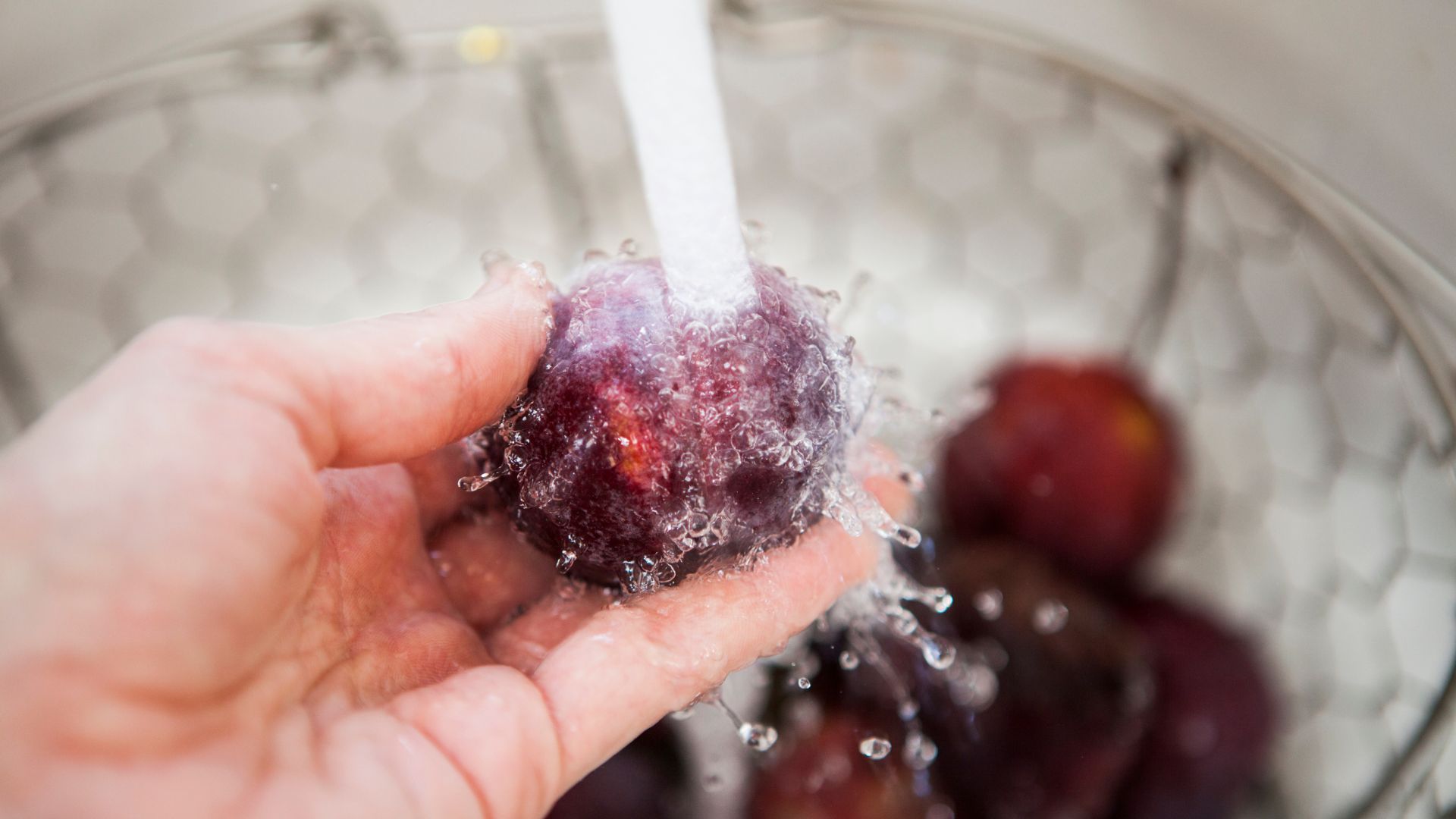 Nên rửa sạch mận dưới vòi nước sạch để loại bỏ bụi bẩn và vi khuẩn bám trên vỏ