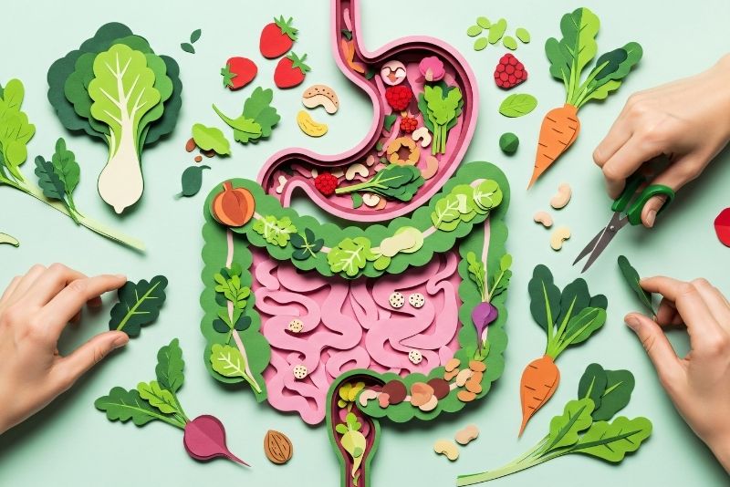 Hàm lượng chất xơ hòa tan và không hòa tan trong mít giúp thúc đẩy nhu động ruột, giảm táo bón